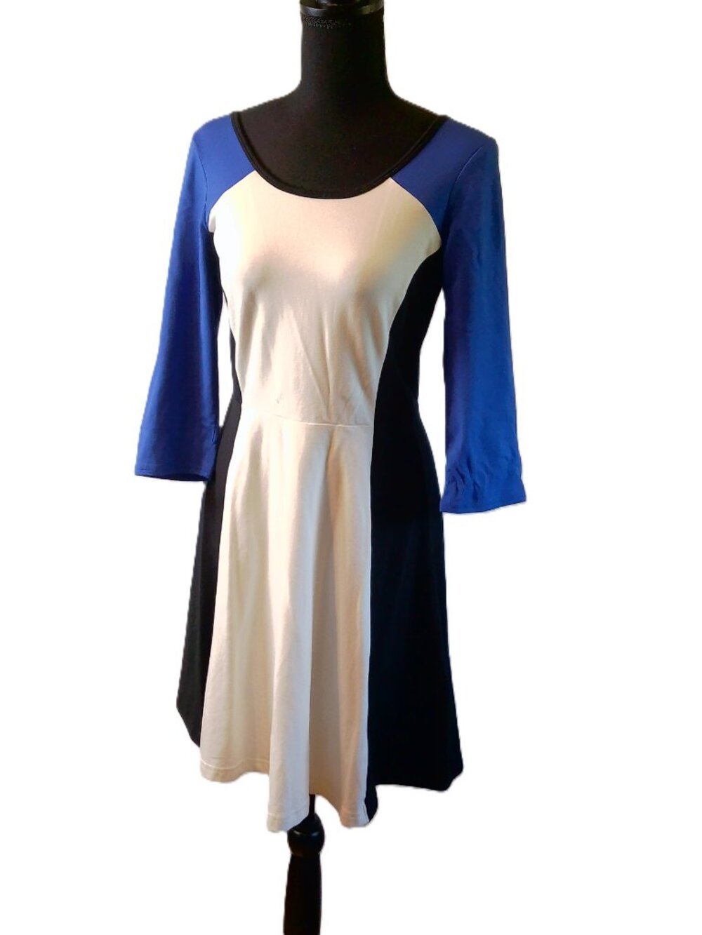 Express Colorblock Fit & Flare Skater Dress Blue White Black Zip Back